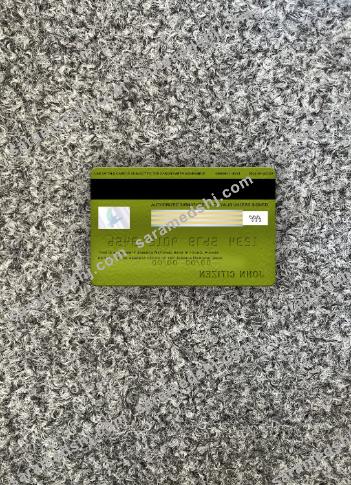Jamaica National Bank visa electron card photolook back